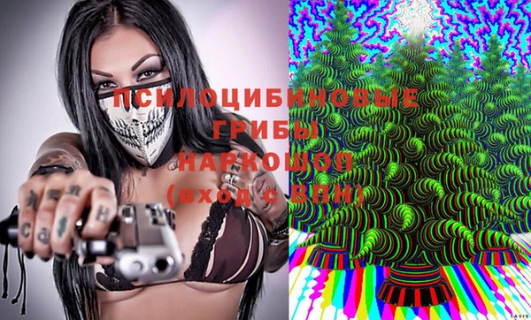 спайс Аркадак